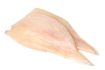 Fresh raw fillet squid