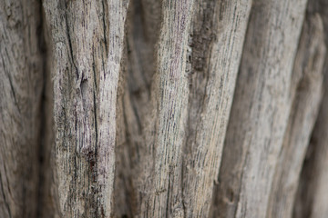 Closed up old wood texture show meterial of background