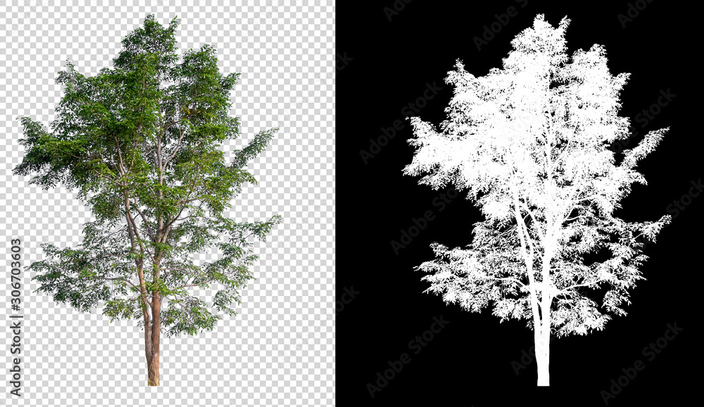Aufkleber isolated tree on transperret picture background with clipping path