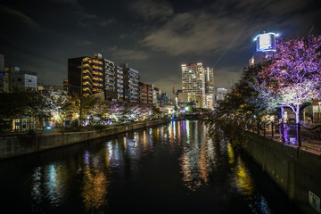 大岡川のライトアップと横浜の街並み