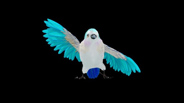 bird fly fur 3d rendering animal realistic CGI VFX Animation Loop Crowd dance composition 3d mapping cartoon Motion Background,with Alpha matte