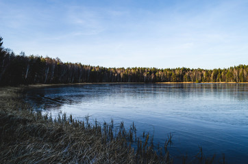 Lake shore with grass and trees in early winter in the countryside. Clear frosty day without snow.