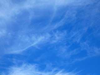 Cielo