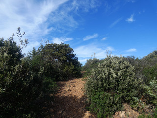 Paesaggio