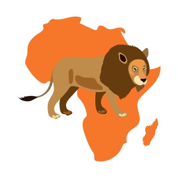 Lion vector on white background map