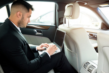 Confident man in tuxedo sit using laptop, working in car, man with beard