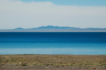 dark blue waters of a mountain lake, wild birds on the beach, Mongolia