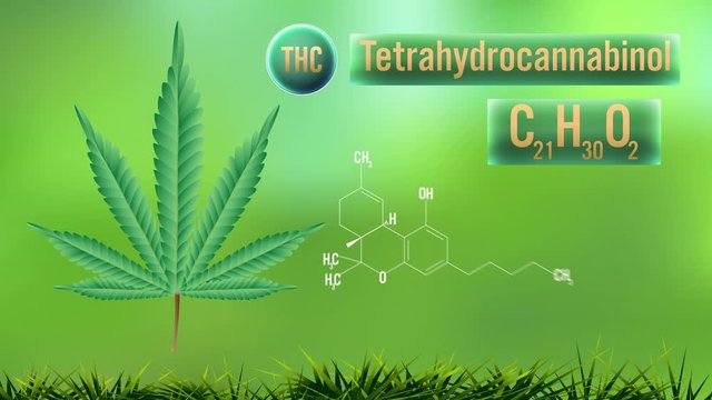 THC (Tetrahydrocannabinol) of formula , Cannabis.video animation on green background