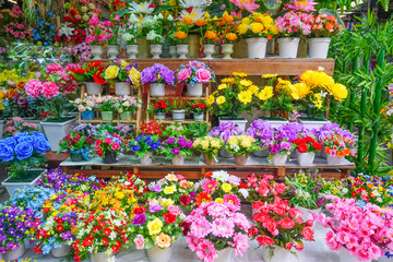 Fototapeta premium Flower shop at flower market.