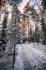 Scenic winter landscape with forest, sunset in Finland