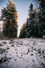 Scenic winter landscape with forest, sunset in Finland