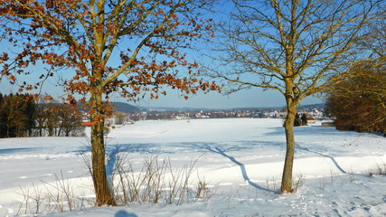 verschneite winterlandschaft in bayern, schneebedeckte aussicht, 