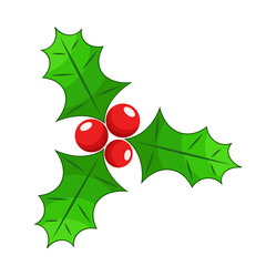 Christmas holly berry flat icon in cartoon style onwhite, stock vector illustration