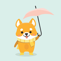 Vector illustration of cute Shiba Inu dog. .