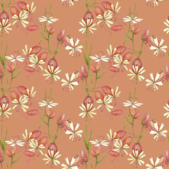 Bladder campion flowers. Watercolor set of drawing cornflowers, floral elements, hand drawn botanical illustration. Seamless patterns.