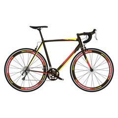 Race road bike isolated bicycle on white. Realistic