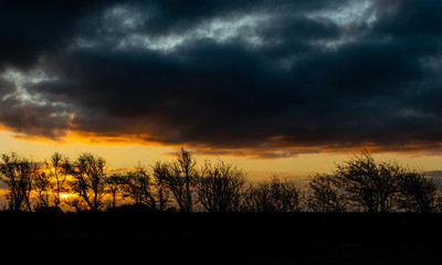 Obraz premium colorful sunrise on a windy morning with black tree silhouettes in the center of the picture