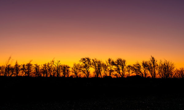 colorful sunrise on a windy morning with black tree silhouettes in the center of the picture