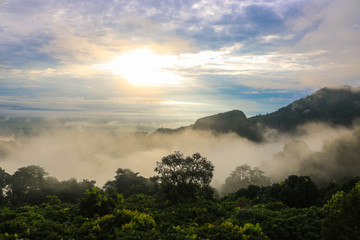 Beautiful mountain panoramic landscape and fog with sunrise in the morning