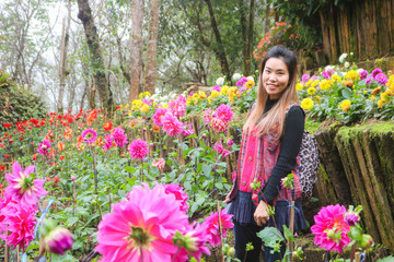 Fototapeta premium Asian woman travel in winter flower park, Chaing rai, Thailand. Asian woman enjoying with her holiday in flower garden.