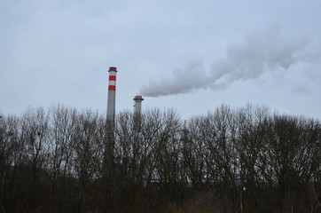 smoke from a pipe in Pilsen