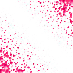 Pink falling petals wind. Sakura or rose flower pastel texture background.