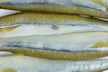 Few fresh raw european smelt fishes background