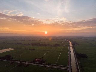 Aerial shot of sunrise over the green paddy field. Noise existed in drone photography.