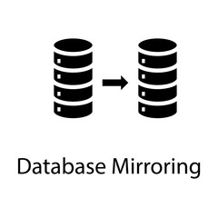  Data Mirroring Vector 