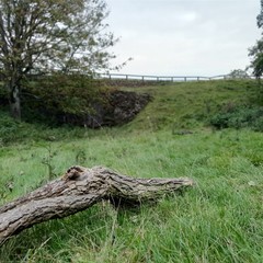 Burton Dassett (UK) Log