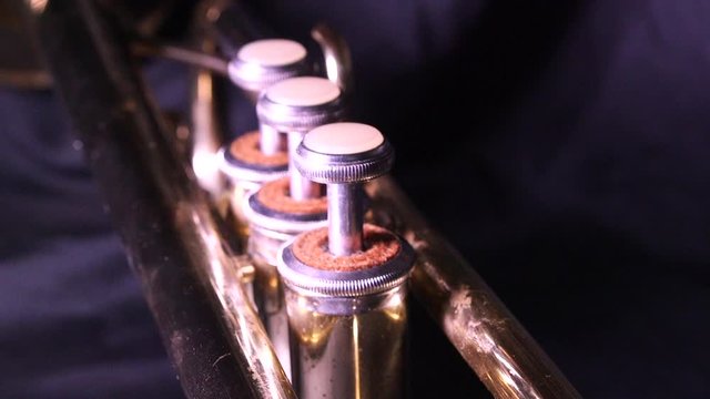 Three valves of a brass trumpet.