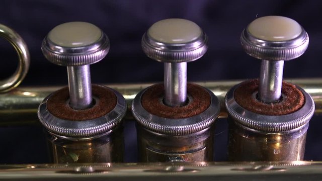 The three valves of the trumpet add lengths of tubing to the instrument to lower the pitch. The first valve lowers it by a whole tone, the second by a semitone, and the third by a minor third.