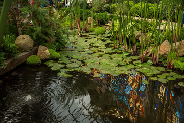 jardin