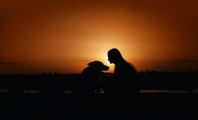 Fototapeta na wymiar girl and dog silhouettes outdoors at sunset
