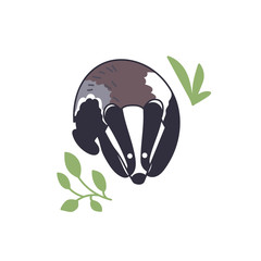 Badger vector illustration. Hand drawn cute Meles meles standing with leaves.