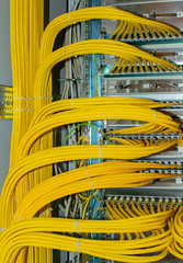 Netzwerk Switch und Netzwerkkabel RJ45 Patchkabel in einem Rechenzentrum