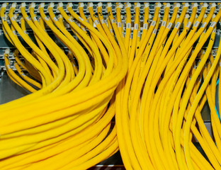 Netzwerk Switch und Netzwerkkabel RJ45 Patchkabel in einem Rechenzentrum