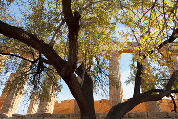 Fototapeta na wymiar Valley of the Temple in Agrigento