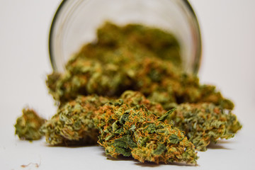 Dry and trimmed cannabis buds stored in a glass jar Medical cannabis