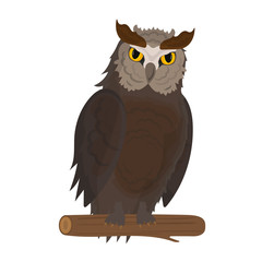 Owl vector illustration, highly detailed owl. Field owl, gueda, Owl, wild forest bird. Flying creatures. Elements for an ornithology book