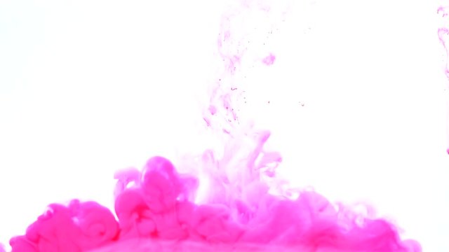 Ink splash in water. Explosion cloud. Magenta pink paint motion on white background for intro.