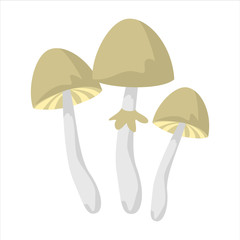 Mushroom drug vector isolated. Psilobycin, psychedelic fungus.