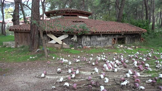 Akyaka, Mugla, Turkey - 10th of November 2019: 4K Drying beach buoys and a forsaken hut in the woods