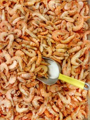 Many frozen shrimps and shovel at market