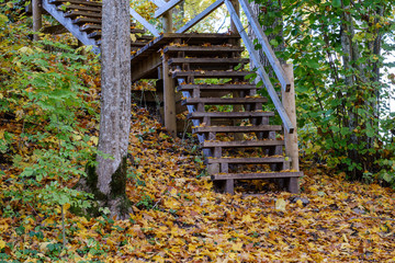 wooden stairs to watch tower in wet colored autumn day in countryside