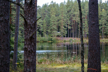 Obraz premium small forest lake in countryside with water reflections