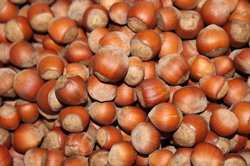 the pile of hazelnuts in the background are nuts