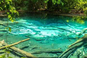 Emerald Pool Krabi rainforest Thailand