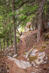View at Trail in Park in Vancouver, Canada. Mountain and rock background.