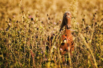 rocking horse with flowers